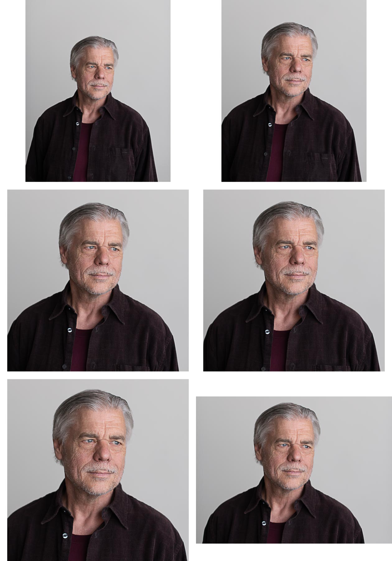 Grid of crops for headshot